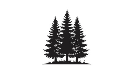 Obraz premium Three tall evergreen pine trees with a small patch of grass at their base, silhouetted against a white background.
