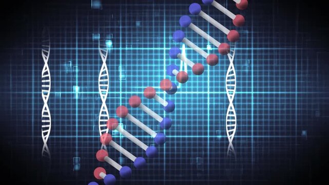Animation of dna structures spinning against heart rate monitor on blue background