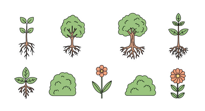 Green plants and trees with roots.