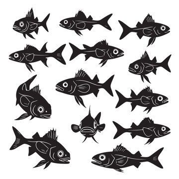 Black Hatchetfish Silhouette Vector, High Quality Illustration on White Background