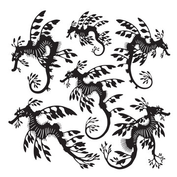 Black Leafy sea dragon  Silhouette Vector, High Quality Illustration on White Background