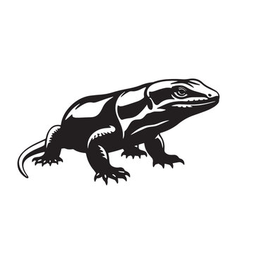 Black Mexican mole lizard Silhouette Vector, High Quality Illustration on White Background