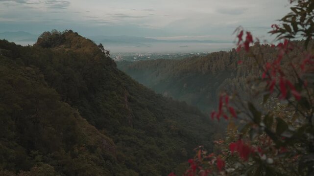 Cinematic misty forest mountain landscape during early morning with soft fog covering the valley. Filmed at Tebing Keraton, Bandung, West Java, Indonesia. Peaceful tropical scenery with lush greenery 