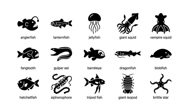 Silhouettes of deep sea creatures: anglerfish, lanternfish, jellyfish, squid, eel, dragonfish, and more