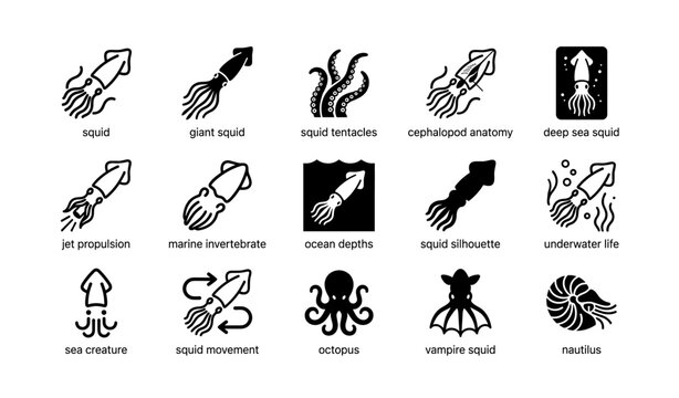 Squid and nautilus icons showcase marine life anatomy