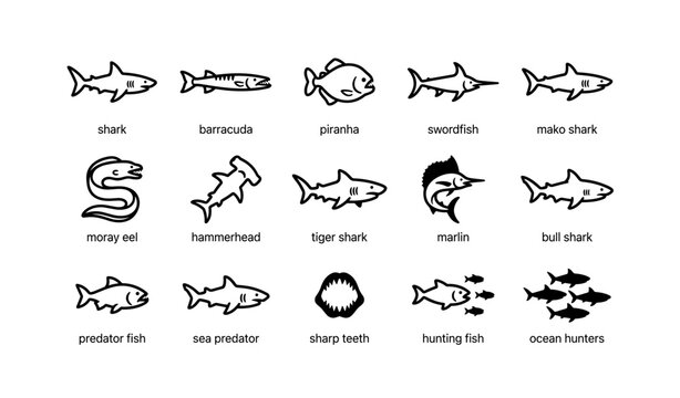 Illustration of ocean predators: sharks, barracuda, piranha, and more