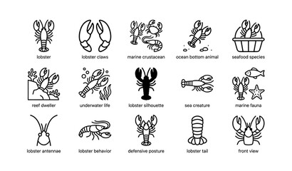 Obraz premium Lobster icons collection: claws, marine life, silhouette, underwater creature