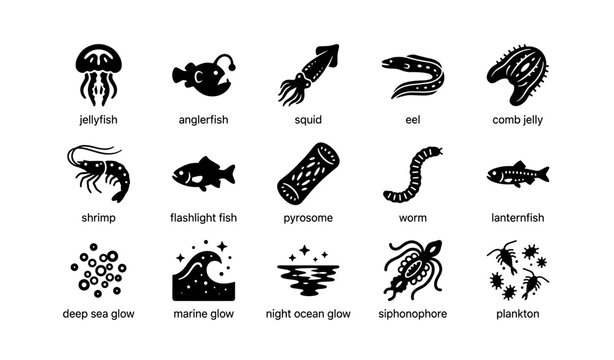 Silhouettes of sea creatures: jellyfish, anglerfish, squid, eel, shrimp, lanternfish