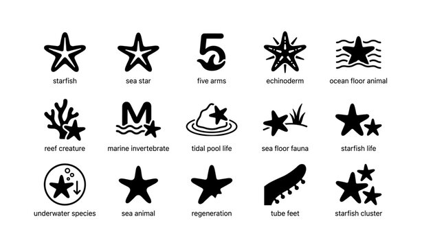 Starfish icon set: sea star, echinoderm, ocean floor animal, marine invertebrate
