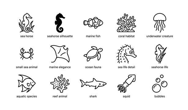 Sea creatures and habitats: seahorse, fish, coral, jellyfish, and more