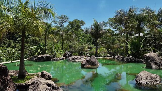 Tropical paradise at El Zur: a turquoise natural pool surrounded by lush palm trees and volcanic rocks. Serene landscape with jungle reflections in clear water and luxury eco-vibe.