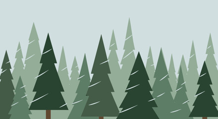 Obraz premium Evergreen trees in a forest.