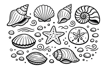 Fototapeta premium Hand Drawn Seashells Illustration Collection – Playful Doodle Style