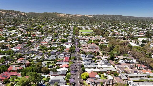 Adelaide, South Australia: 4K aerial drone footage of residential suburbs with tree-lined streets, roundabouts, purple jacaranda flowers, houses and urban landscape in Glenside, Linden Park