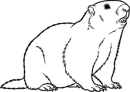 Line Art of a Groundhog in a Forest Setting, Detailed Wild Animal Illustration