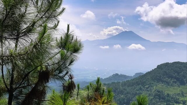 Smooth cinematic pan revealing the vast slopes of Mount Slamet with terraced agriculture and misty pine forests. High-quality travel stock footage.
