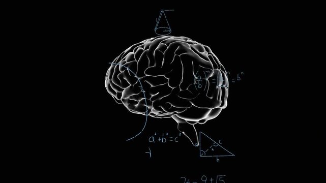 Stylized brain rotating as frames progress, adding ring, triangle, formulas, visualizing education