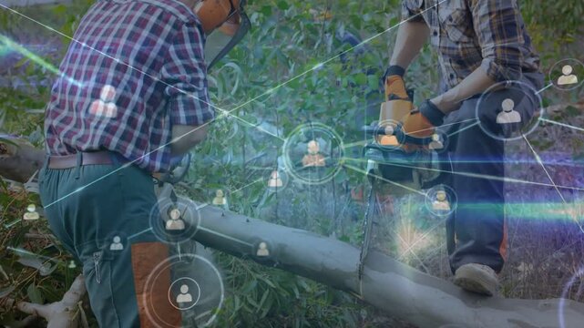 Chainsaw starting, two workers cutting trunk, bracing log while overlay growing for cleanup