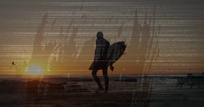 Male surfer walking shore at sunset urging surf while dogs running film scanline smudging on surfer