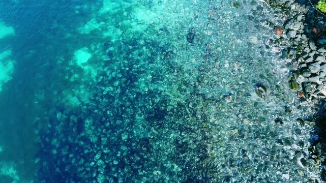 海底が見える穏やかな波打ち際を俯瞰で空撮