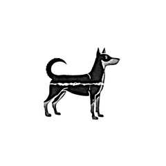 Fototapeta premium Artistic dog illustration in, halftone texture, standing profile, graphic design, isolated animal figure, ink style rendering.