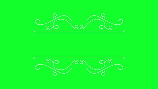 Luxury Wedding Decorative Divider Animation with Vintage Floral Flourish | Elegant Vintage Scroll Divider animation on green screen background