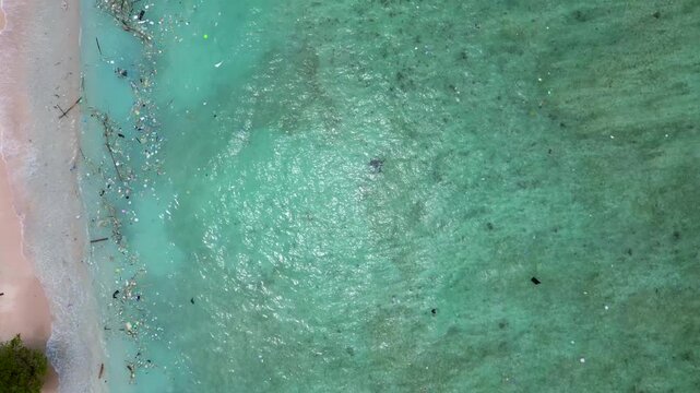 Sea turtle swimming near plastic polluted ocean shore. Perfect aerial view drone
