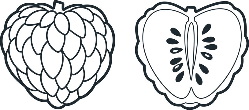 Hand-Drawn Vector Illustration of Raspberry, Whole and Sliced, for Food, Fruit, and Healthy Lifestyle Designs