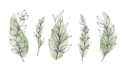 Fototapeta premium Vintage botanical foliage wall art set, hand drawn leaves with green watercolor texture