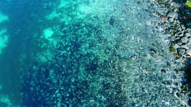 海底が見える穏やかな波打ち際を俯瞰で空撮