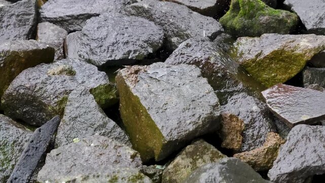 Wet dark basalt rocks with green moss and water splashes, natural texture background of stones.