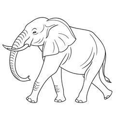 Fototapeta premium Minimal Elephant Outline