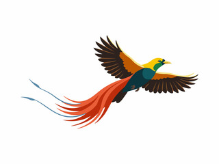 Fototapeta premium Cendrawasih Bird of Paradise Flying Vector Illustration with Long Tail