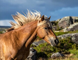 Wild horse with flowing mane in a rugged, natural landscape under a bright sky.