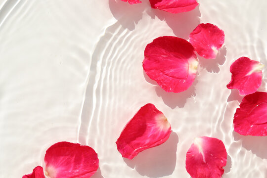 Red rose petals floating on crystal clear rippling water.