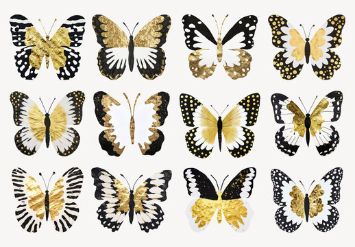 Elegant Gold Black Butterfly Illustrations Element Design Set