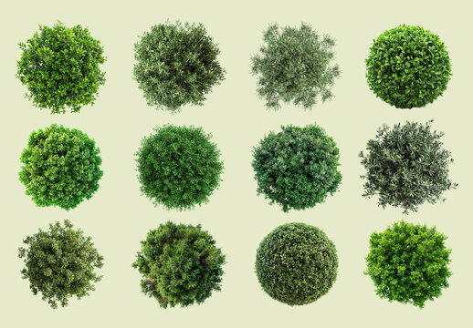 Top View Green Plant Element Set