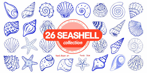 Collection of hand drawn seashells and starfish in blue line art © Titul