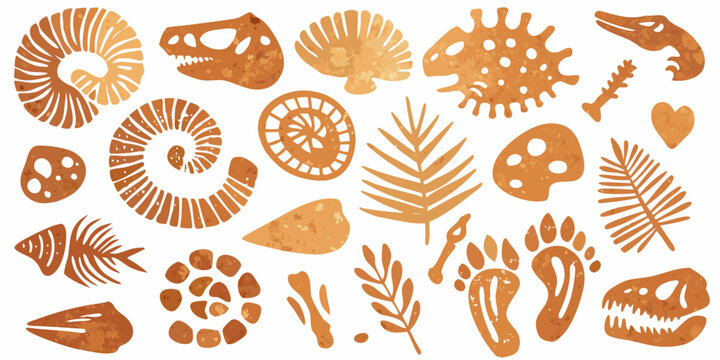 Paleontological illustrations of fossils dinosaur bones and ancient plant life