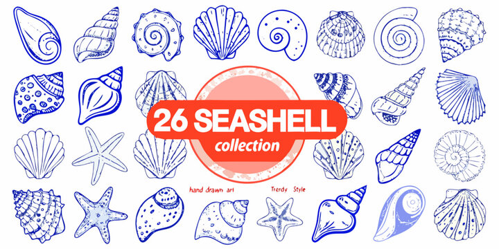 Collection of hand drawn seashells and starfish in blue line art