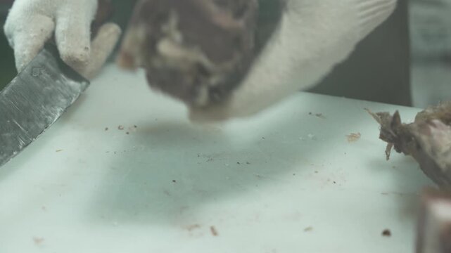 손가락, 나이든, 껍질, 먹을것, 근접, 건강, 고기, 육류, 다듬기, 칼, 도마, 맛 있는, 구운, 주방
