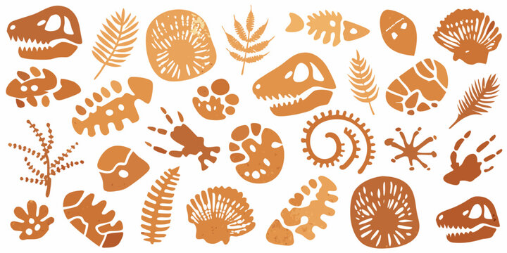 Ancient fossils and plant life are arranged in a patterned collage