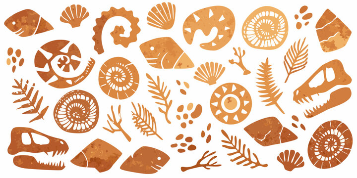 An artistic collection of fossilized shells plants and dinosaur bones