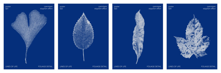 Set of cyanotype stipples effect poster with a nature graphic shape. Vector stipple ginkgo, maple, willow, linden leaves element in retro print style. © gorozhinak