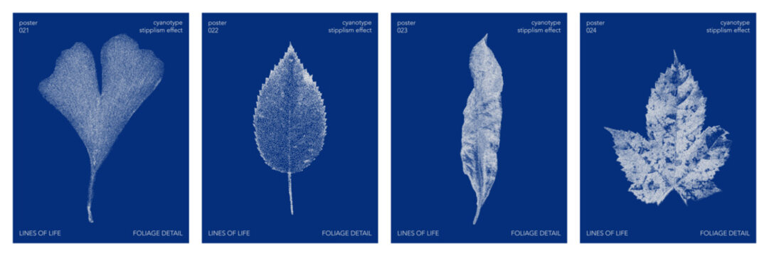 Set of cyanotype stipples effect poster with a nature graphic shape. Vector stipple ginkgo, maple, willow, linden leaves element in retro print style.