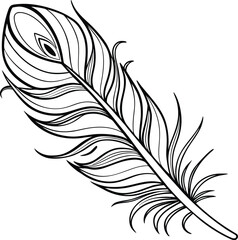 Obraz premium feather vector illustration