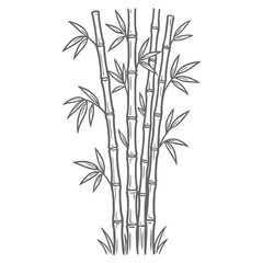Fototapeta premium Elegant bamboo stalks with leaves in a natural setting
