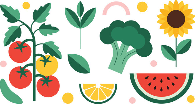 Healthy food flat vector composition. Tomato broccoli citrus watermelon and sunflower elements. Fresh organic fruits and vegetables for vegan diet nutrition and cooking design.