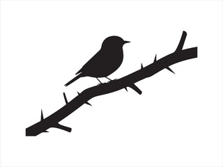 Obraz premium A black bird perched on a branch vector, Bird on Branch Silhouette, Small Songbird Perched on Tree Branch Nature Icon Isolated on White Background