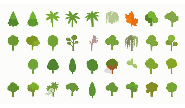 Isometric Tree Types Icon Set with 25 Forest Tropical and Garden Trees for Web Design Vector Collection